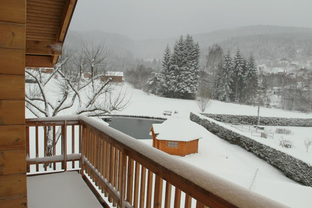 Chalet Centauree - Remy Herold Xonrupt-Longemer Luaran gambar