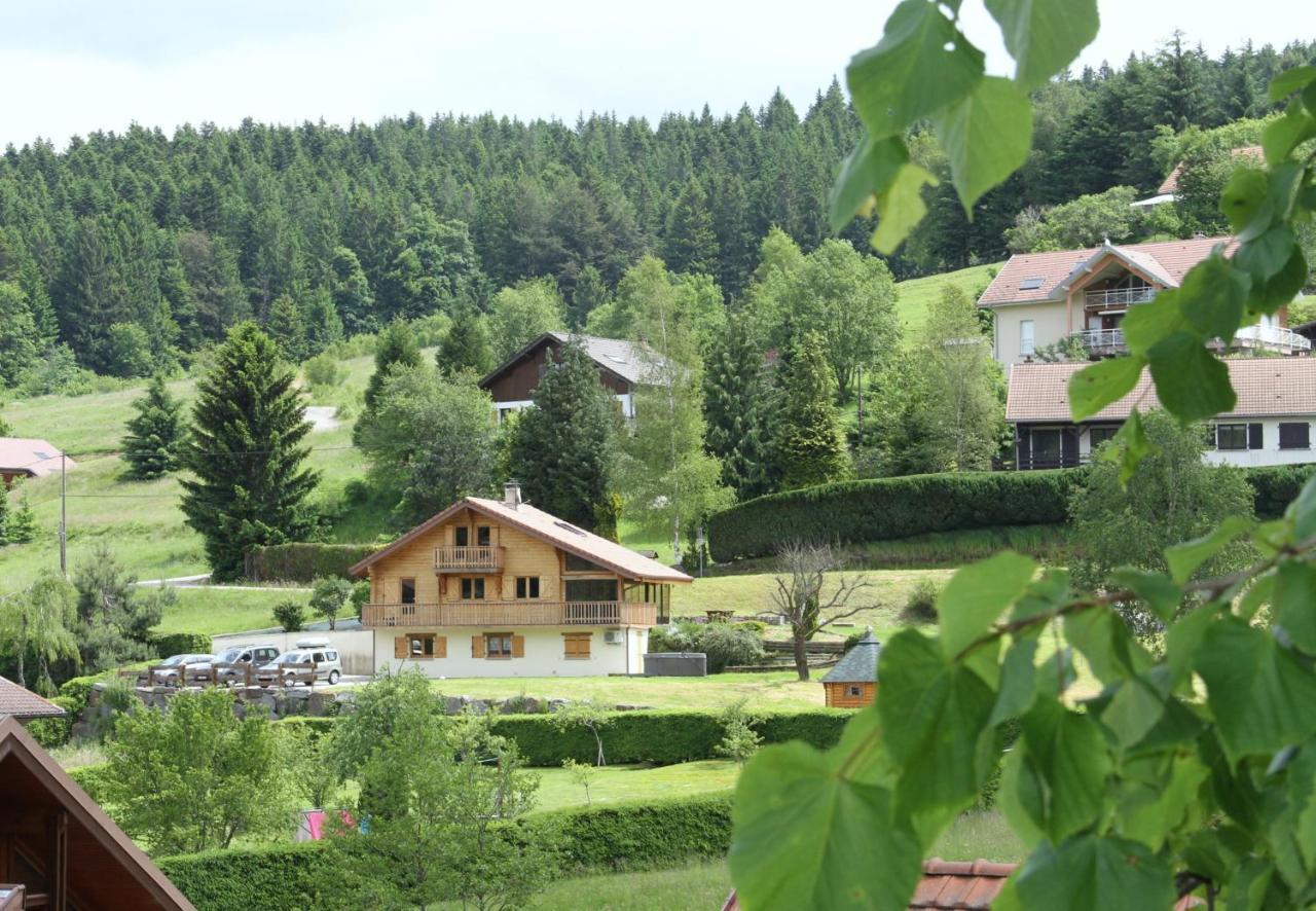 Chalet Centauree - Remy Herold Xonrupt-Longemer Luaran gambar