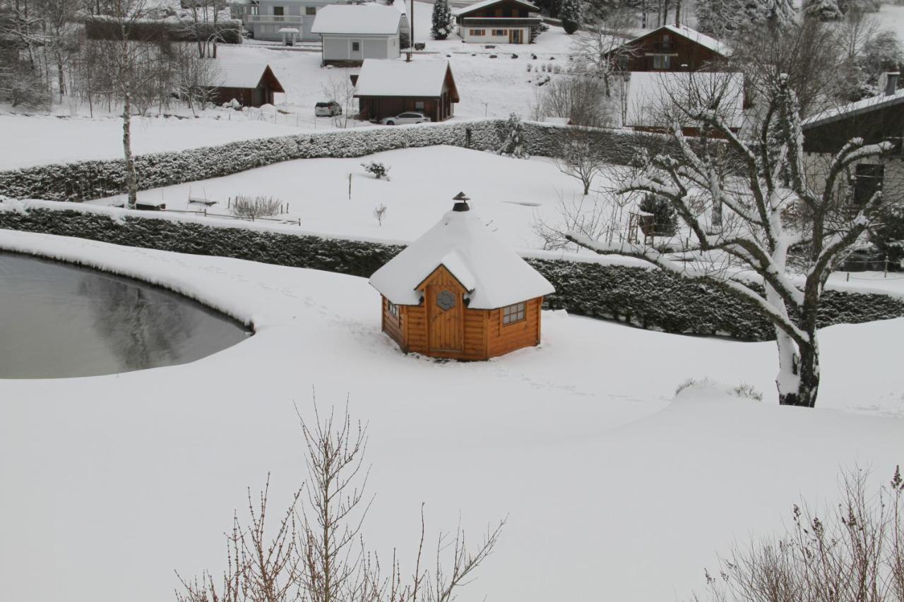 Chalet Centauree - Remy Herold Xonrupt-Longemer Luaran gambar